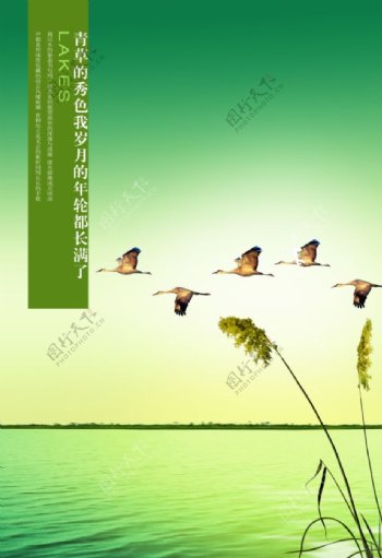 中国元素海报