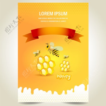 蜜蜂与蜂蜜海报