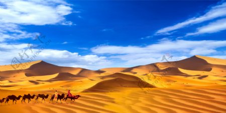 蓝天白云沙漠骆驼西域