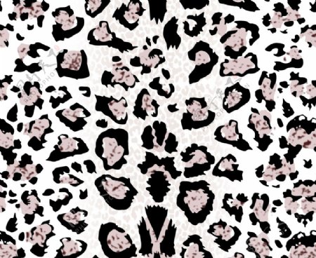 豹纹白底手绘印花