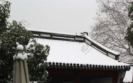 屋顶的雪