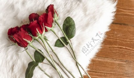 放在地毯上的玫瑰花