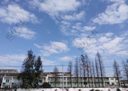 小学