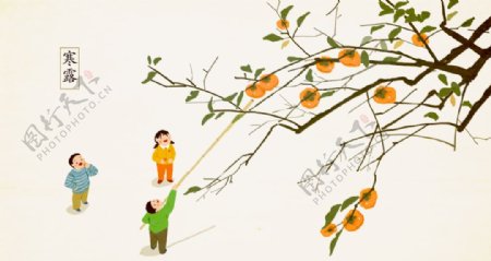 寒露国风传统插画卡通背景素材