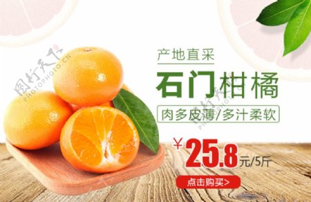石门柑橘宣传促销banner