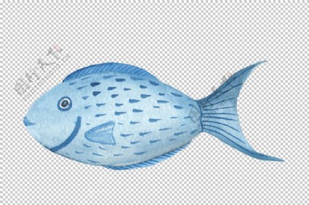 海洋生物鱼图案