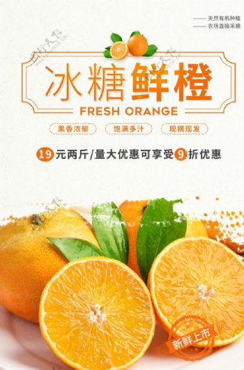 冰糖鲜橙水果促销活动宣传海报