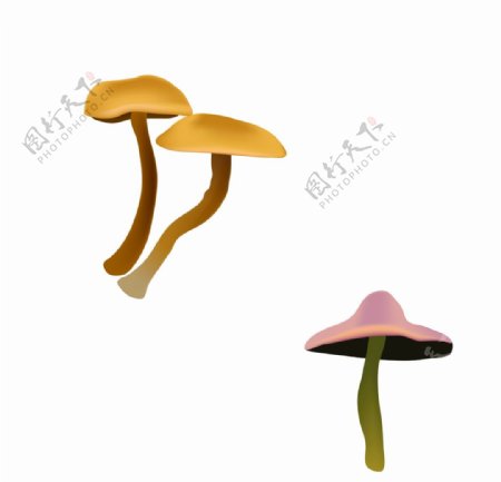 秋季蘑菇森林树丛蘑菇矢量可爱