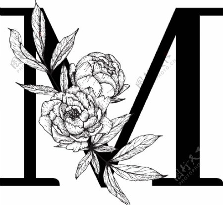 花卉装饰字母字母M