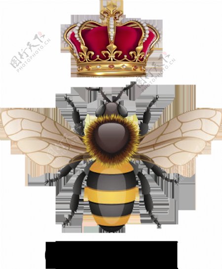 蜜蜂皇冠