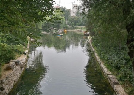 公园风景池塘
