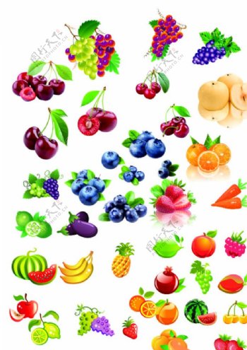 水果集合各种水果