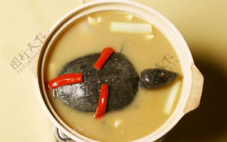 砂锅浓汤甲鱼图片