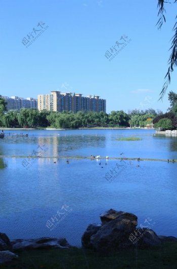 龙潭湖风景图片