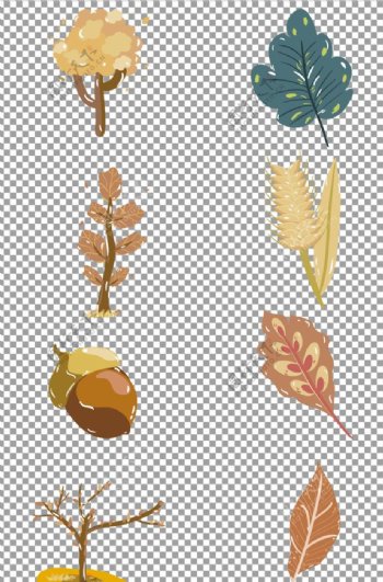 手绘秋季植物橡果树木图片