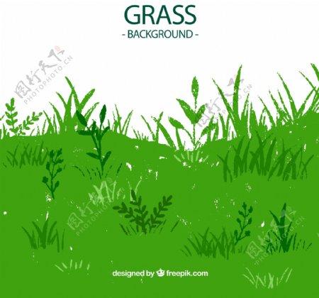 绿色草地设计图片