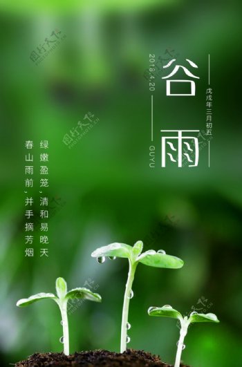 民间节气谷雨文化海报图片