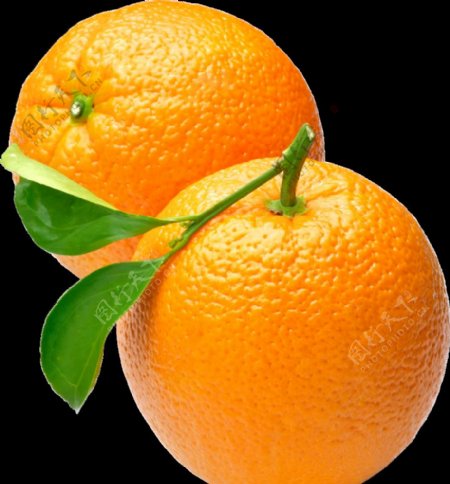 橙果图片
