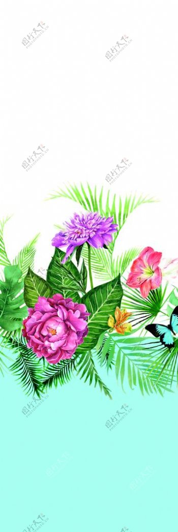 热带植物图片
