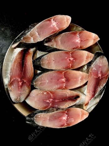 鱼肉肉图片