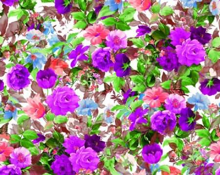 彩色花卉背景图片