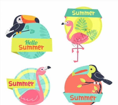 彩色夏季鸟类标签图片