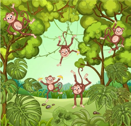 丛林里的猴子图片