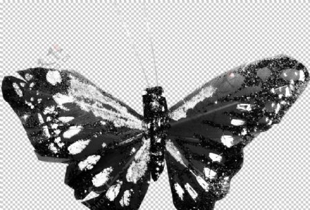 昆虫蝴蝶图案图片