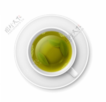 矢量绿叶茶汤图片