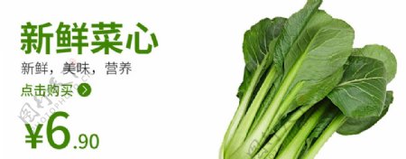 菜心食品海报蔬菜蔬菜海报图片