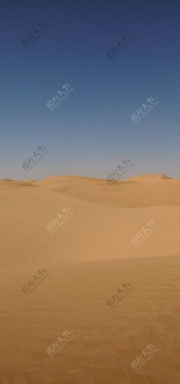 竖沙丘图片