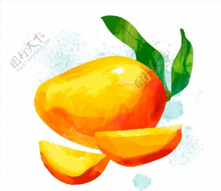 水彩绘美味芒果图片