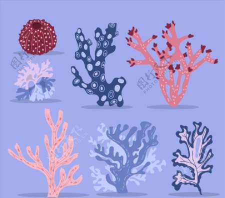 创意珊瑚设计图片