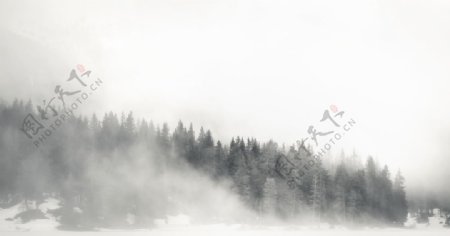 雾山雪林图片