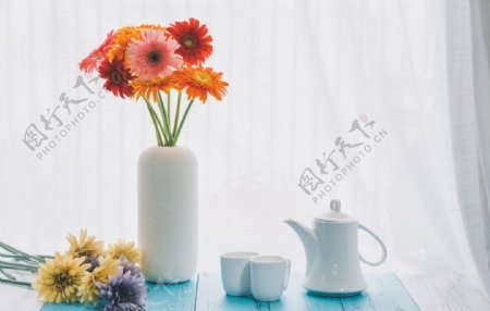 桌子上的菊花图片
