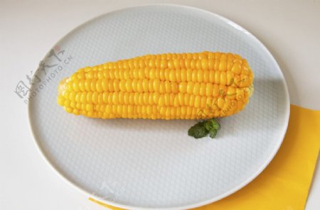 玉米图片