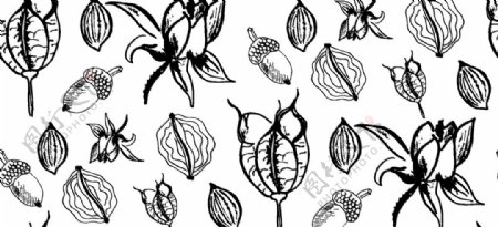 手绘植物背景图片