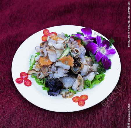 家常菜炝拌海螺图片