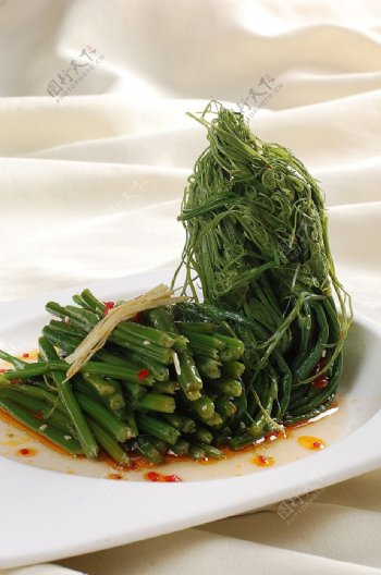 淮扬菜炝拌龙须苗图片
