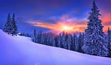 雪景夕阳图片