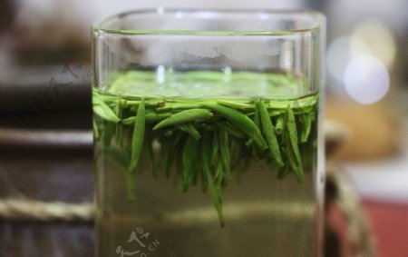 翠芽明前茶图片