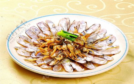 海鲜姜葱焗蛏子图片