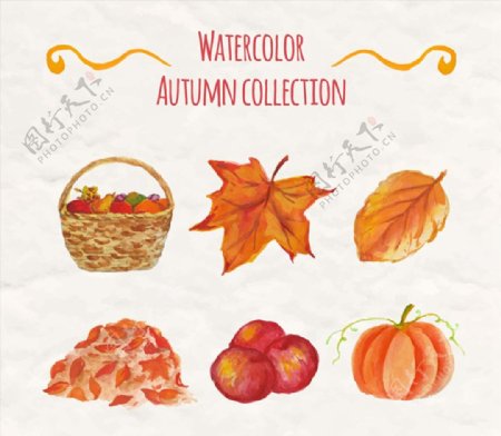 水彩绘秋季元素图片