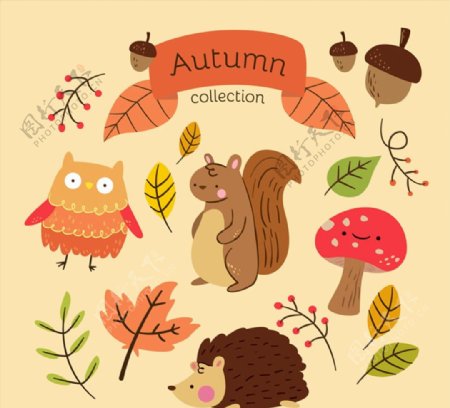 秋季叶子和动物图片