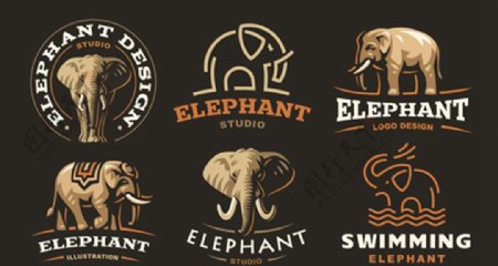 大象元素标志图片