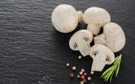 食用蘑菇图片