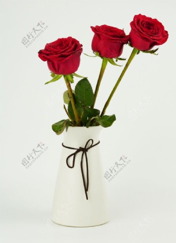 花瓶里的玫瑰图片