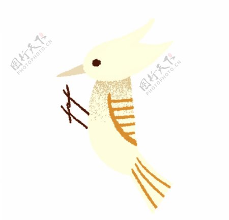 啄木鸟插画素材图片