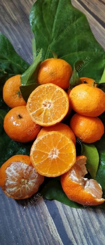 砂糖橘砂糖桔桔子水果图片