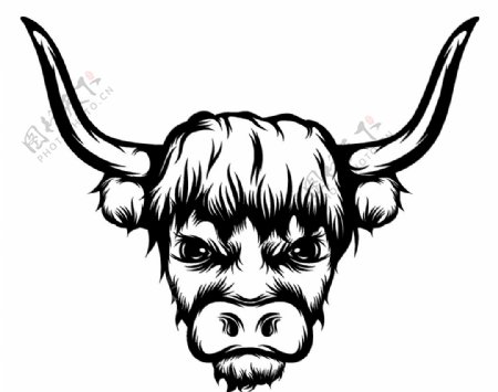 牛头插画图片
